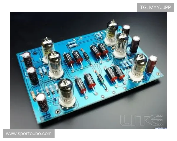 欧博222胆前级的用户评价与实测效果，真实反馈助你做出购买决策